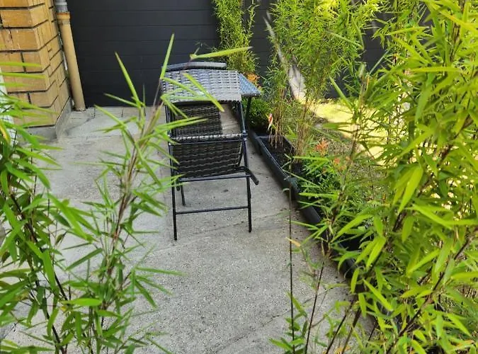 Studio, Pas De Collocation Possible 아파트 *